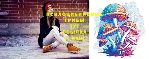 a pvp Алексин