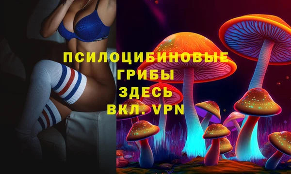 спиды Алзамай
