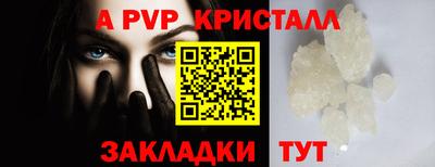 шишки Кингисепп