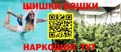 шишки Кингисепп