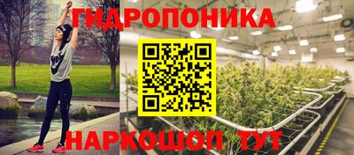 сатива Кинель