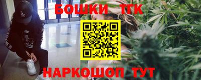 шишки Кингисепп