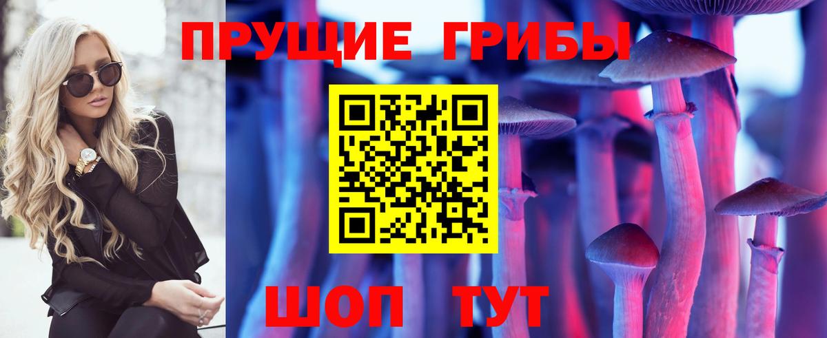 Галлюциногенные грибы мицелий Новокубанск